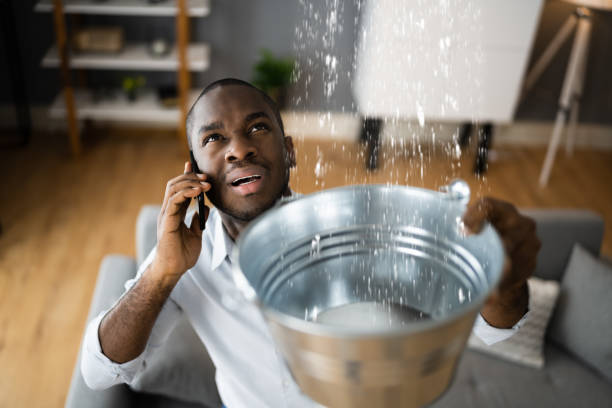 Best Ceiling water damage repair  in Rodney Village, DE