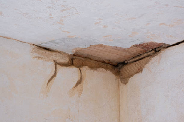 Professional Water damage restoration in Rodney Village, DE