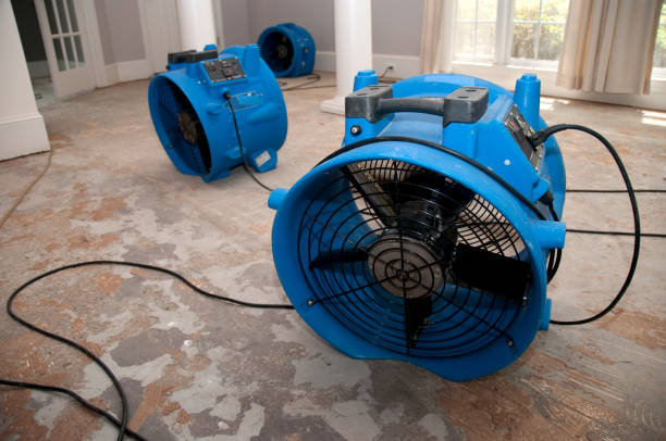 Best Fire Damage Restoration  in Rodney Village, DE