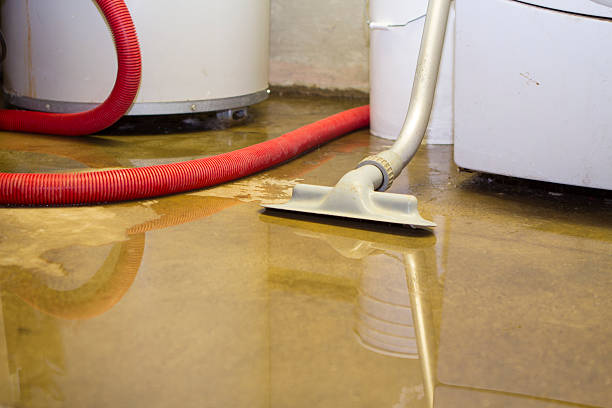 Best Water damage cleanup near me  in Rodney Village, DE