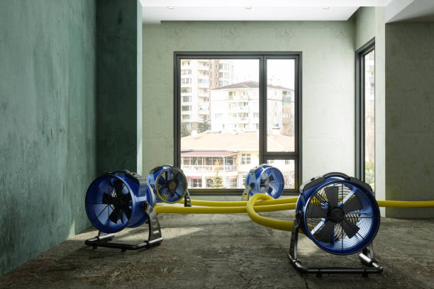 Water damage restoration process in Rodney Village, DE